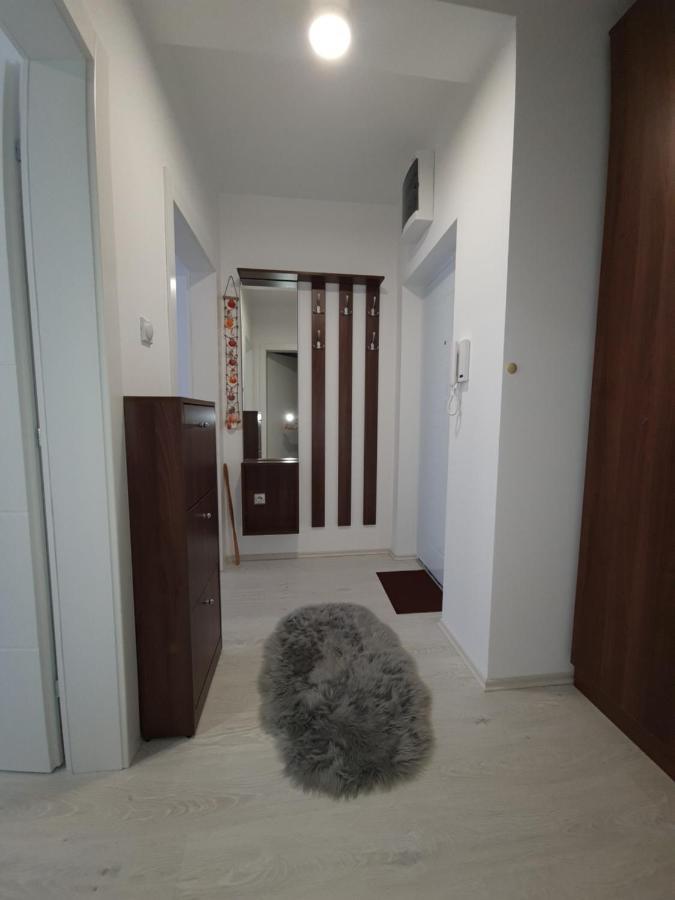 Apartman Kerkez Soko Banja Exteriör bild
